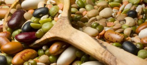 protéines végétales