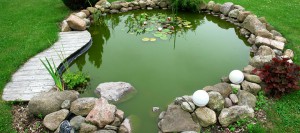 Pourquoi pas naturel